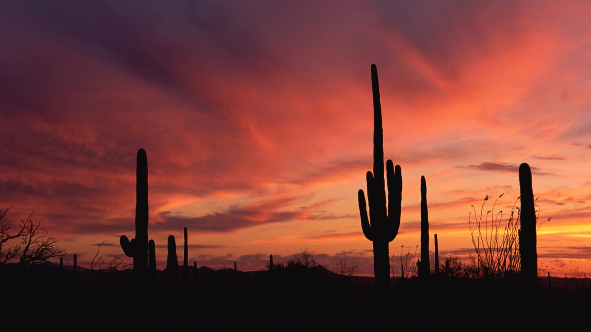 Great news, Tucson: better Internet is expanding on the Eastside