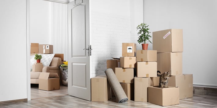 Top 10 moving tips
